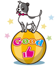 DOG & CAT sticker #213663
