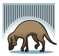DOG & CAT sticker #213670
