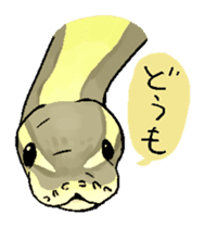 Python with Japanese message sticker #215134