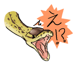 Python with Japanese message sticker #215143