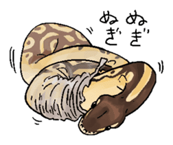 Python with Japanese message sticker #215147