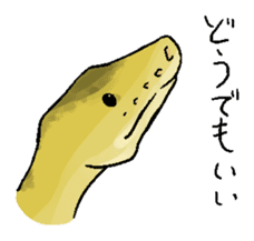 Python with Japanese message sticker #215157