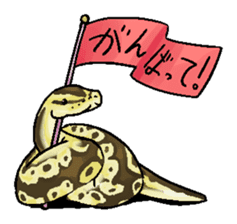 Python with Japanese message sticker #215161