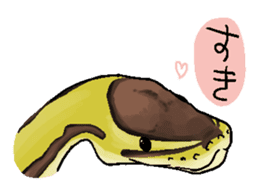 Python with Japanese message sticker #215165