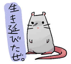 Python with Japanese message sticker #215169