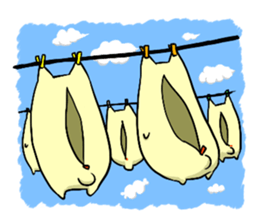 Every day of NUKOTA sticker #216447