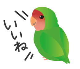 Colorful parakeet sticker #217853