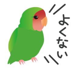 Colorful parakeet sticker #217854
