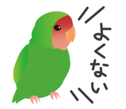 Colorful parakeet sticker #217854