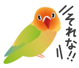 Colorful parakeet sticker #217855
