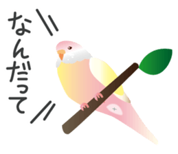 Colorful parakeet sticker #217856