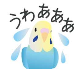 Colorful parakeet sticker #217857