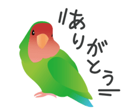 Colorful parakeet sticker #217858
