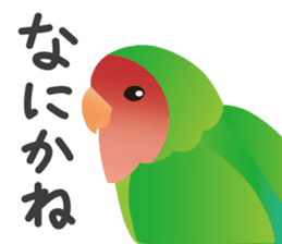 Colorful parakeet sticker #217860