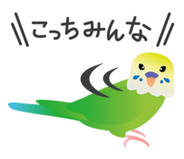 Colorful parakeet sticker #217863