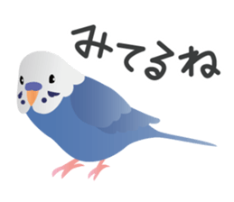 Colorful parakeet sticker #217864