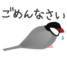 Colorful parakeet sticker #217865