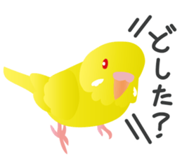 Colorful parakeet sticker #217872