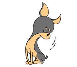 The miniature pinscher festival! sticker #218574