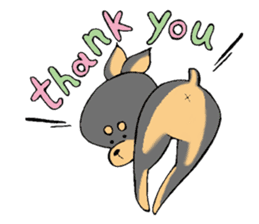 The miniature pinscher festival! sticker #218577