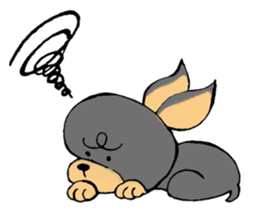 The miniature pinscher festival! sticker #218587