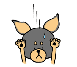 The miniature pinscher festival! sticker #218589