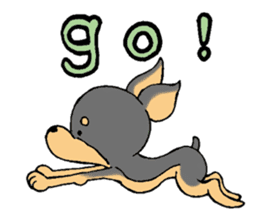 The miniature pinscher festival! sticker #218590