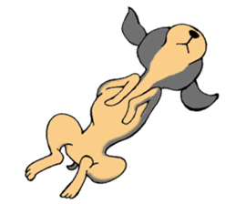 The miniature pinscher festival! sticker #218592