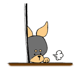 The miniature pinscher festival! sticker #218595