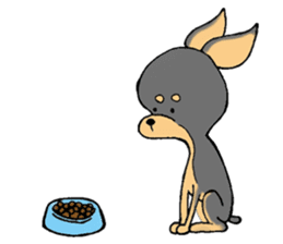 The miniature pinscher festival! sticker #218596