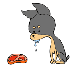 The miniature pinscher festival! sticker #218597