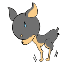 The miniature pinscher festival! sticker #218601
