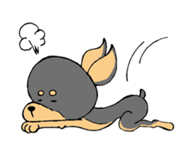 The miniature pinscher festival! sticker #218602