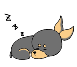 The miniature pinscher festival! sticker #218604