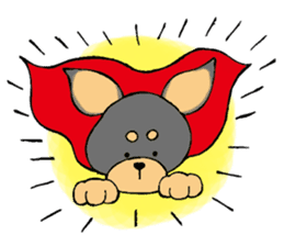 The miniature pinscher festival! sticker #218606