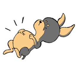 The miniature pinscher festival! sticker #218608