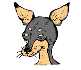 The miniature pinscher festival! sticker #218610