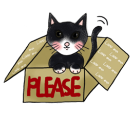 My Lady sticker #842514