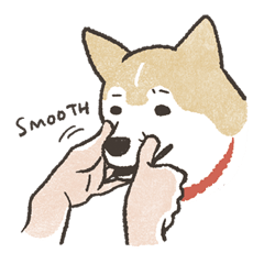Shiba Inu (Shiba-Dog) stickers