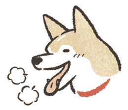 Shiba Inu (Shiba-Dog) stickers sticker #888280