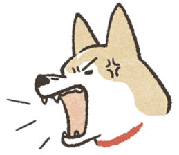 Shiba Inu (Shiba-Dog) stickers sticker #888283