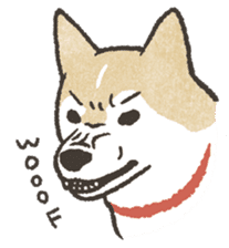 Shiba Inu (Shiba-Dog) stickers sticker #888284