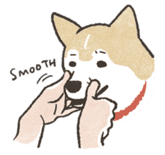 Shiba Inu (Shiba-Dog) stickers sticker #888285