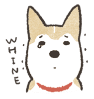 Shiba Inu (Shiba-Dog) stickers sticker #888288