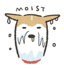 Shiba Inu (Shiba-Dog) stickers sticker #888290