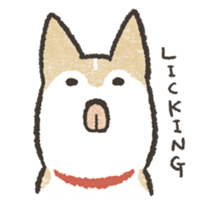 Shiba Inu (Shiba-Dog) stickers sticker #888291