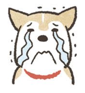 Shiba Inu (Shiba-Dog) stickers sticker #888292