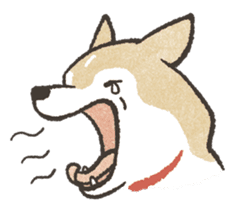 Shiba Inu (Shiba-Dog) stickers sticker #888294