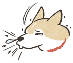 Shiba Inu (Shiba-Dog) stickers sticker #888295