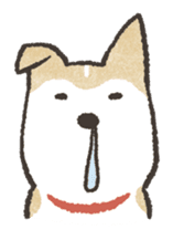 Shiba Inu (Shiba-Dog) stickers sticker #888297